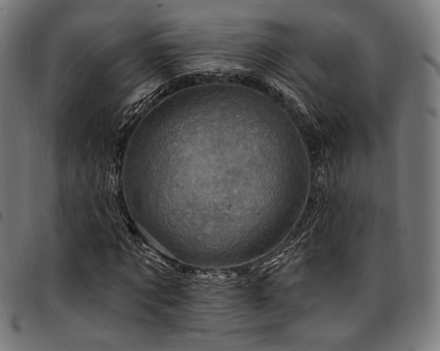X0000095530869200712141500