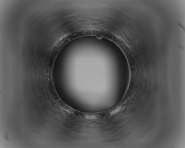 X0000095530870200712141500