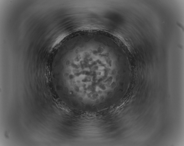 X0000095530871200712141500