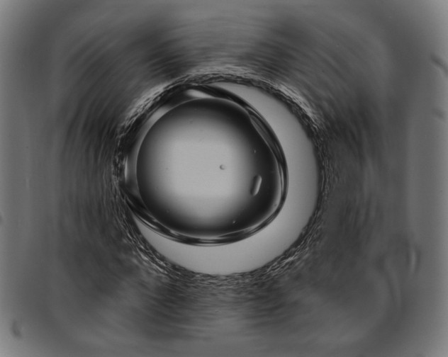 X0000095530872200712141500