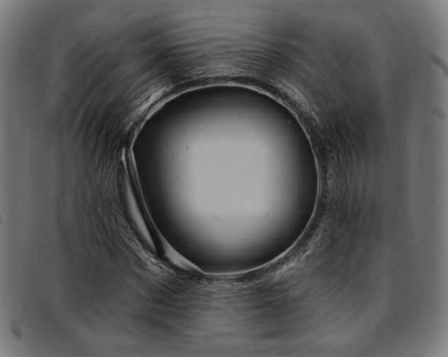 X0000095530873200712141500