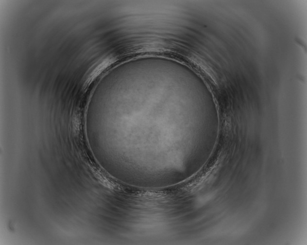 X0000095530874200712141500