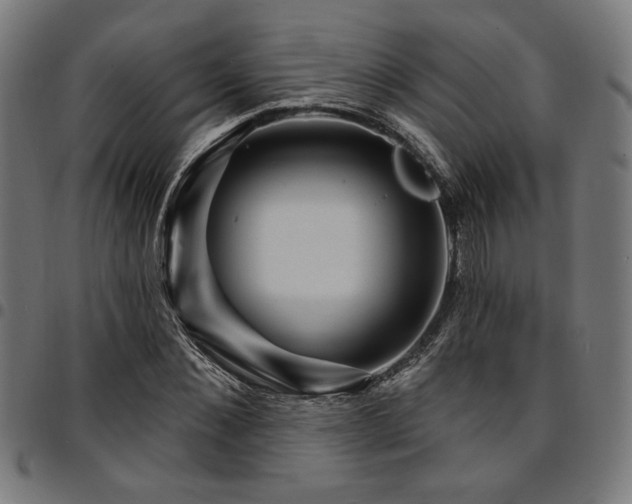 X0000095530876200712141500