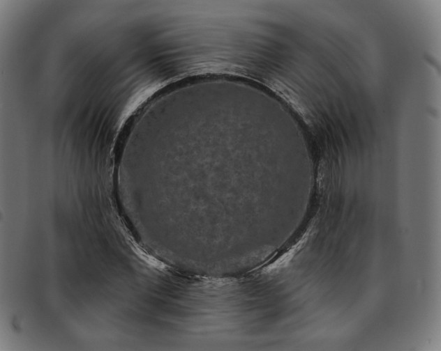 X0000095530877200712141500