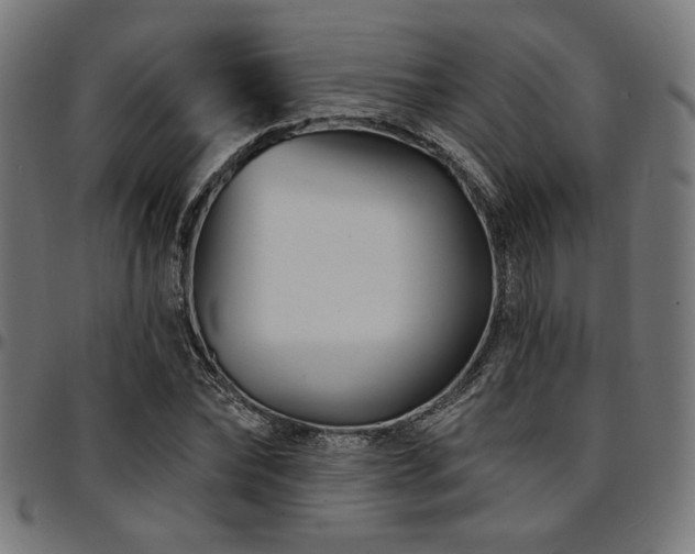 X0000095530878200712141500
