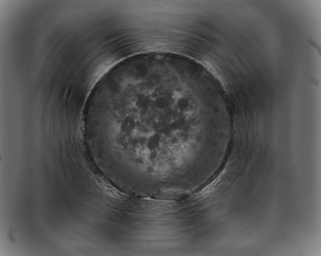X0000095530879200712141500