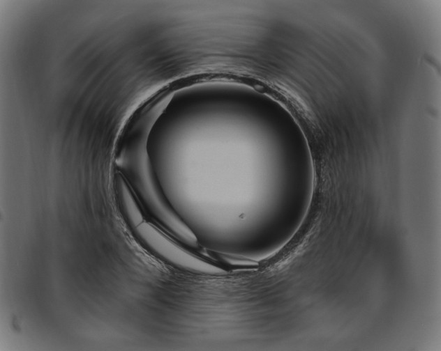 X0000095530880200712141500