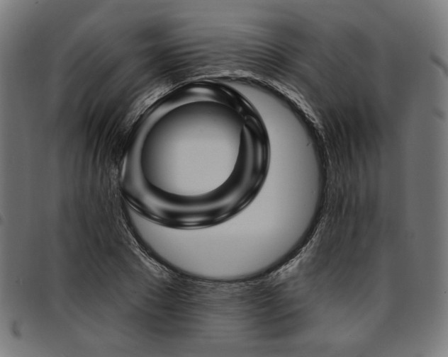 X0000095530881200712141500