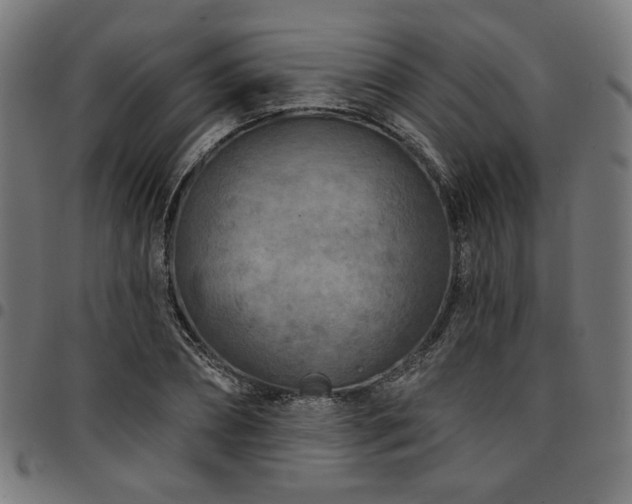 X0000095530882200712141500