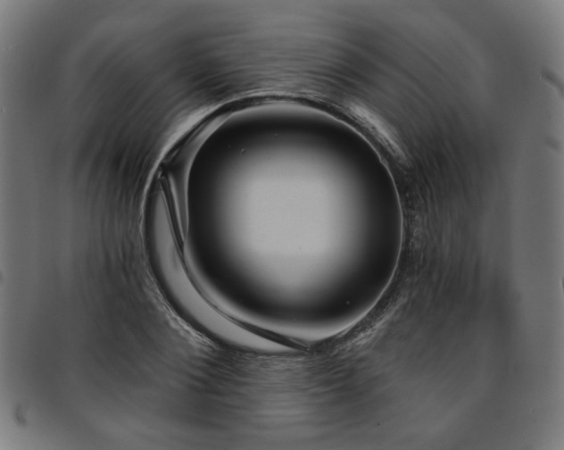 X0000095530884200712141500