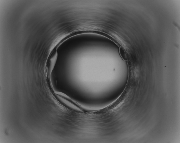X0000095530885200712141500