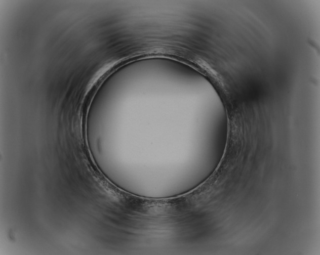 X0000095530886200712141500