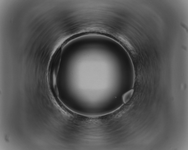 X0000095530888200712141500