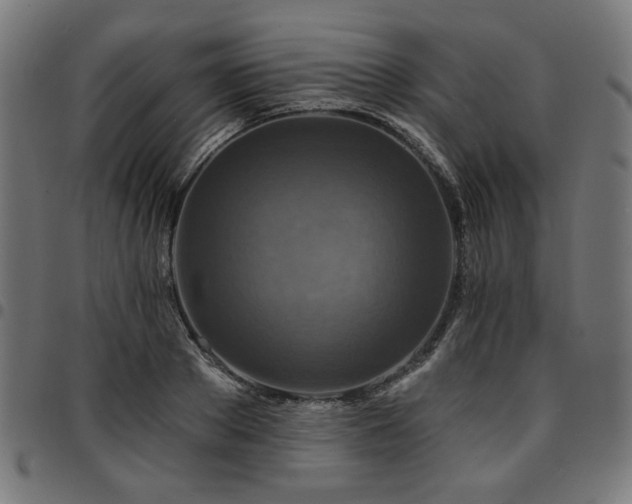 X0000095530889200712141500