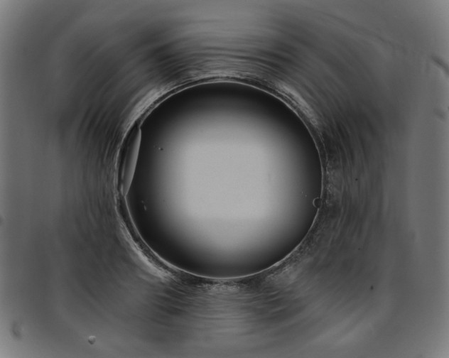 X0000095530890200712141500