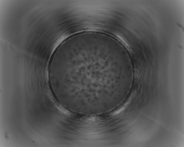 X0000095530891200712141500