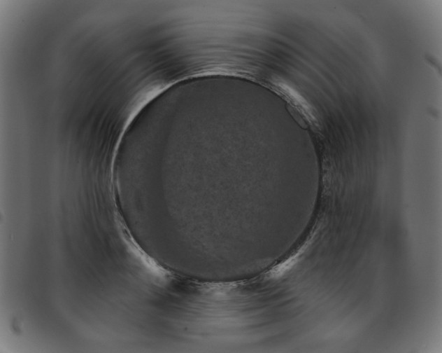 X0000095530892200712141500