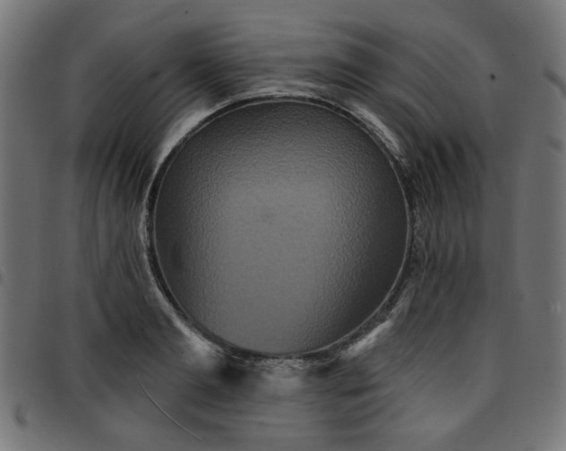 X0000095530893200712141500