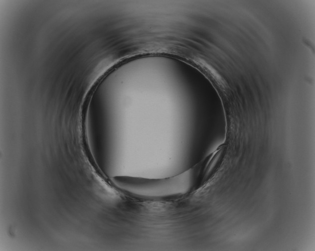 X0000095530894200712141500