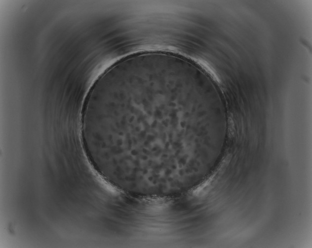 X0000095530895200712141500