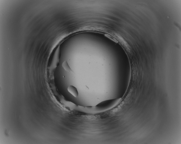 X0000095530896200712141500