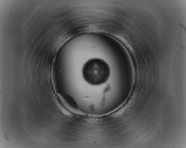 X0000095530897200712141459