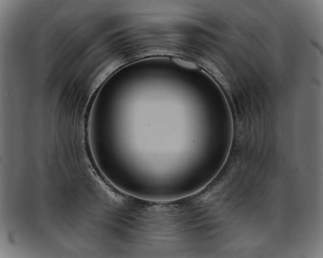 X0000095530898200712141459