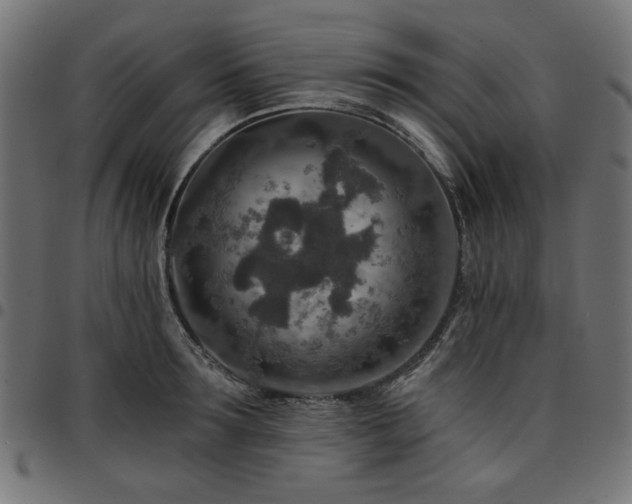 X0000095530899200712141459