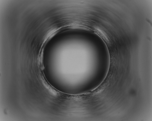 X0000095530900200712141459