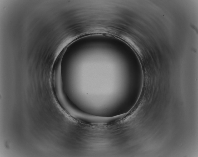 X0000095530901200712141459