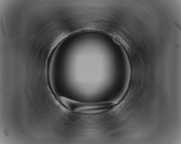 X0000095530902200712141459