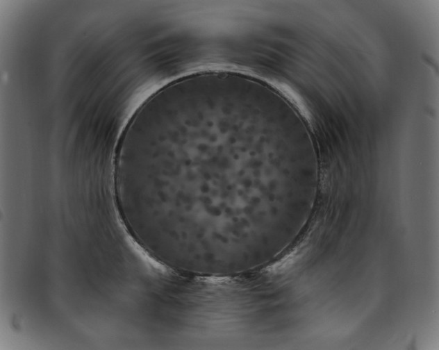 X0000095530903200712141459