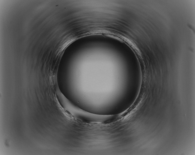 X0000095530905200712141459