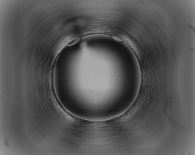 X0000095530906200712141459