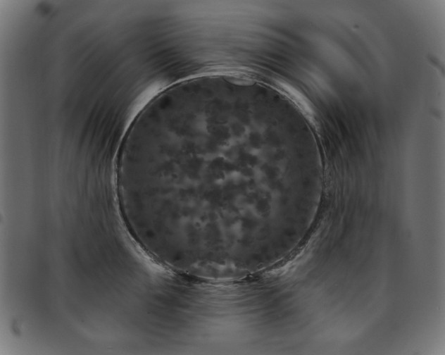 X0000095530907200712141459
