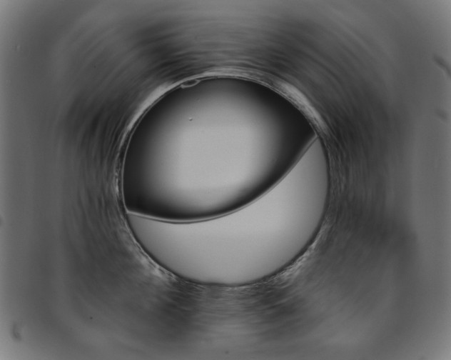 X0000095530908200712141459