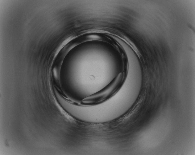 X0000095530909200712141459