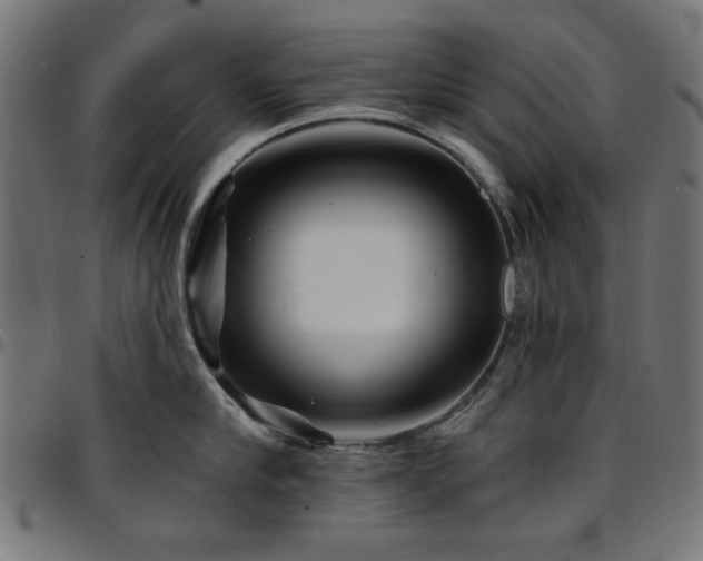 X0000095530910200712141459
