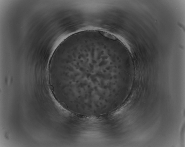 X0000095530911200712141459