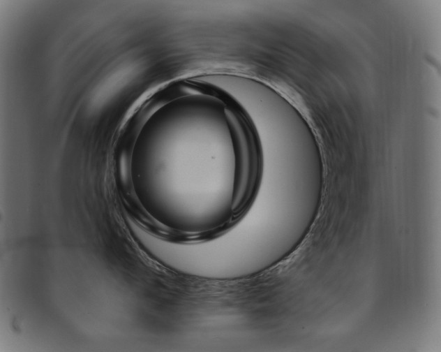X0000095530912200712141459