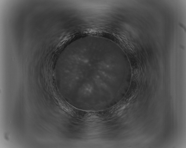 X0000095530913200712141459
