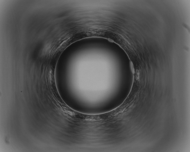 X0000095530915200712141459