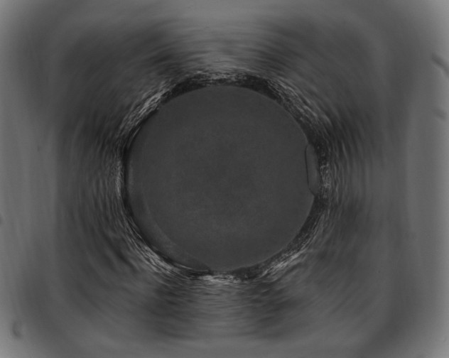 X0000095530916200712141459