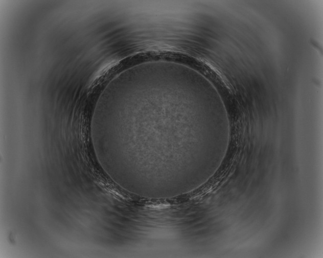 X0000095530919200712141459