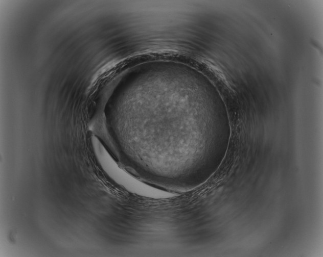 X0000095530920200712141459
