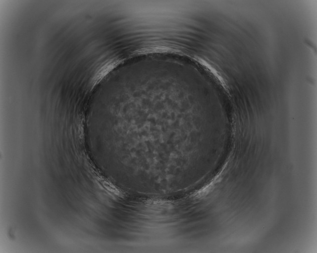 X0000095530921200712141459