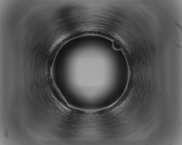 X0000095530922200712141459