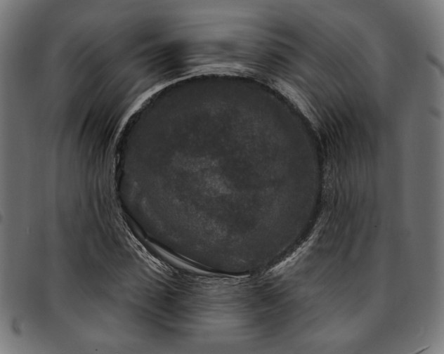 X0000095530923200712141459