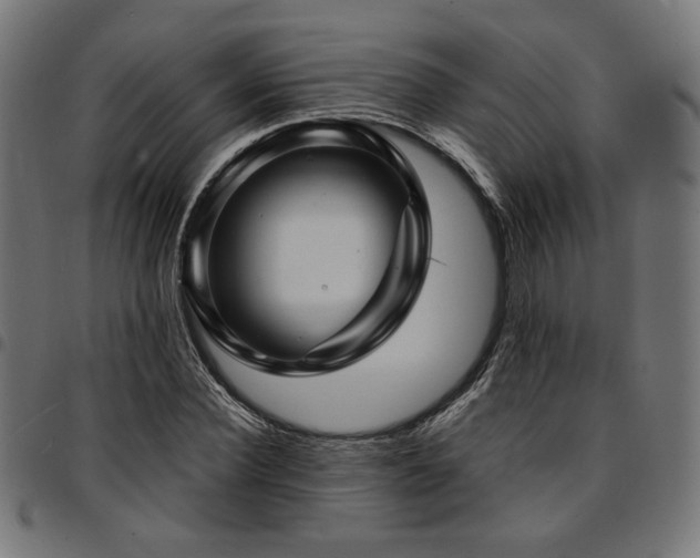 X0000095530924200712141459