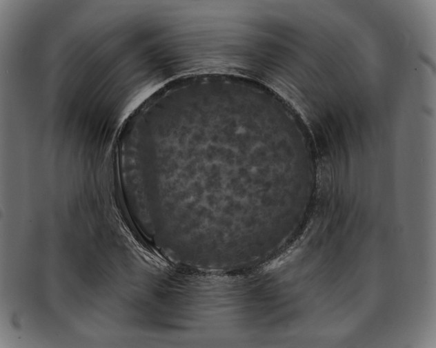 X0000095530925200712141459